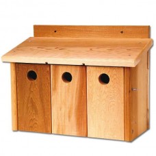 Sparrow Terrace Sparrow Terrace